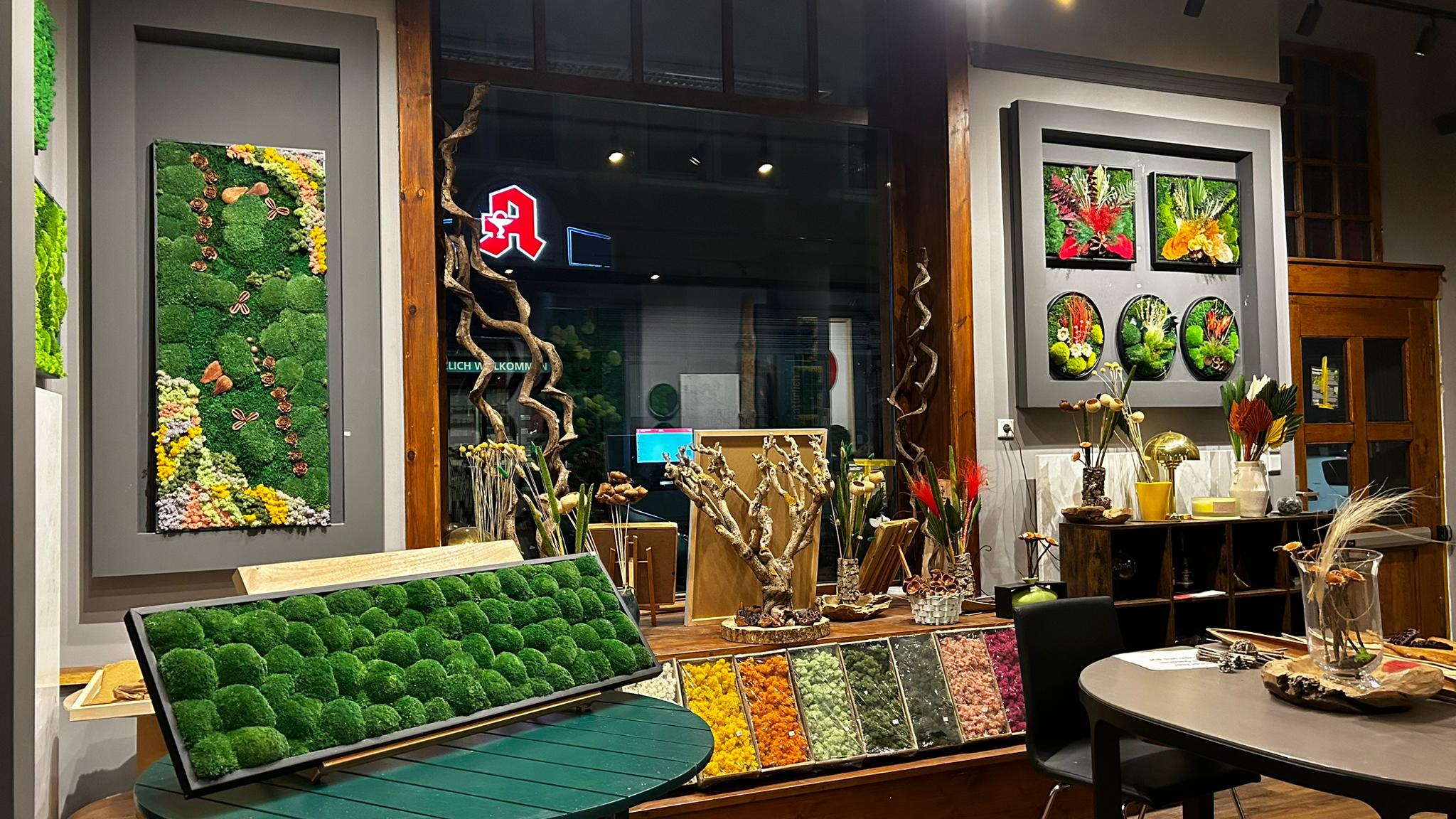 galleryImage4
