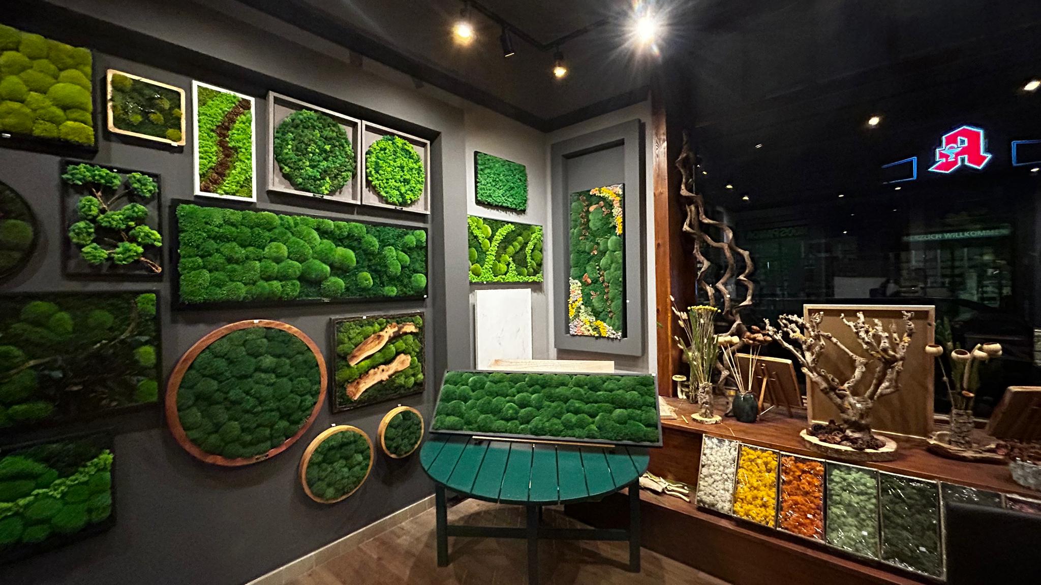 galleryImage6